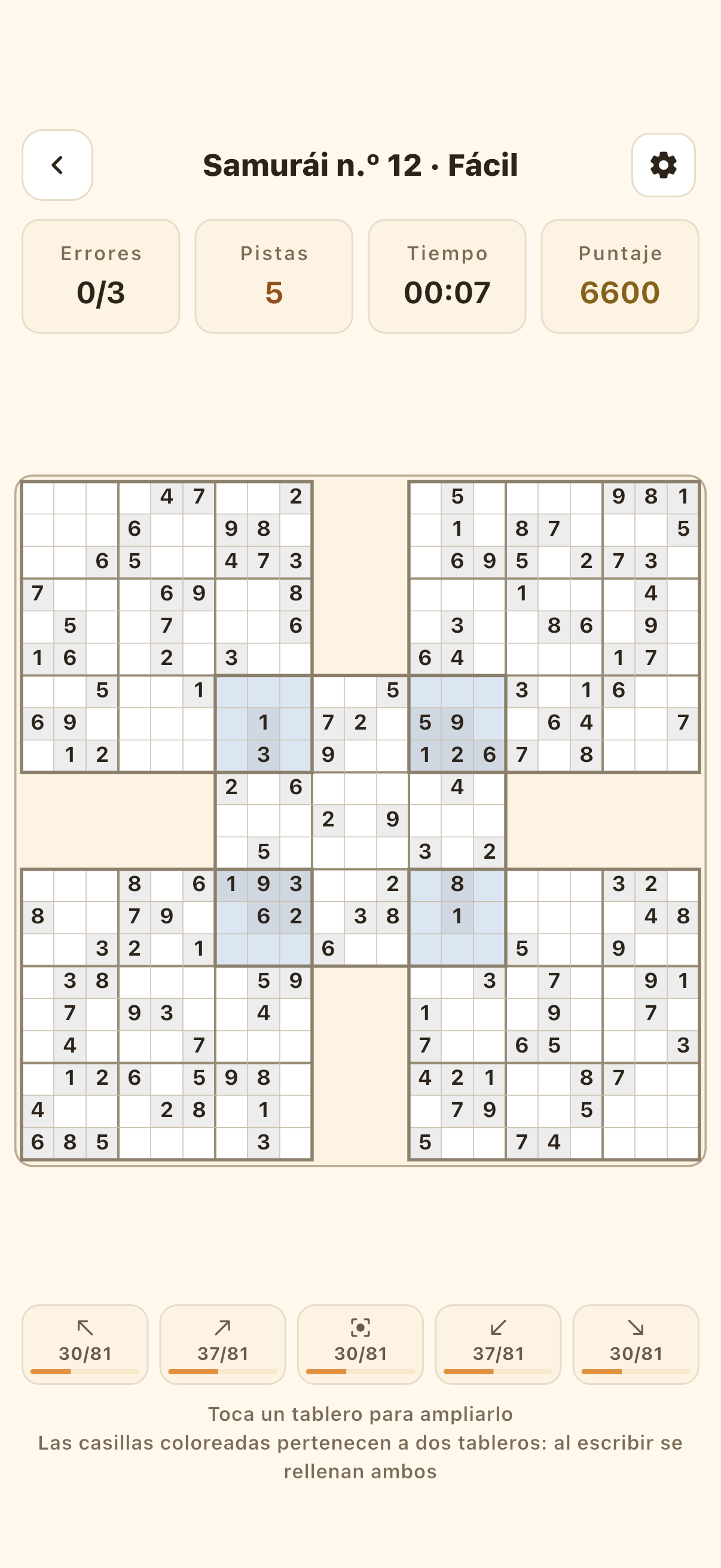 Mandoku El 21×21 completo y una vista ampliada